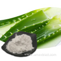 Aloe Vera Gel Freeze Dried Extract Powder